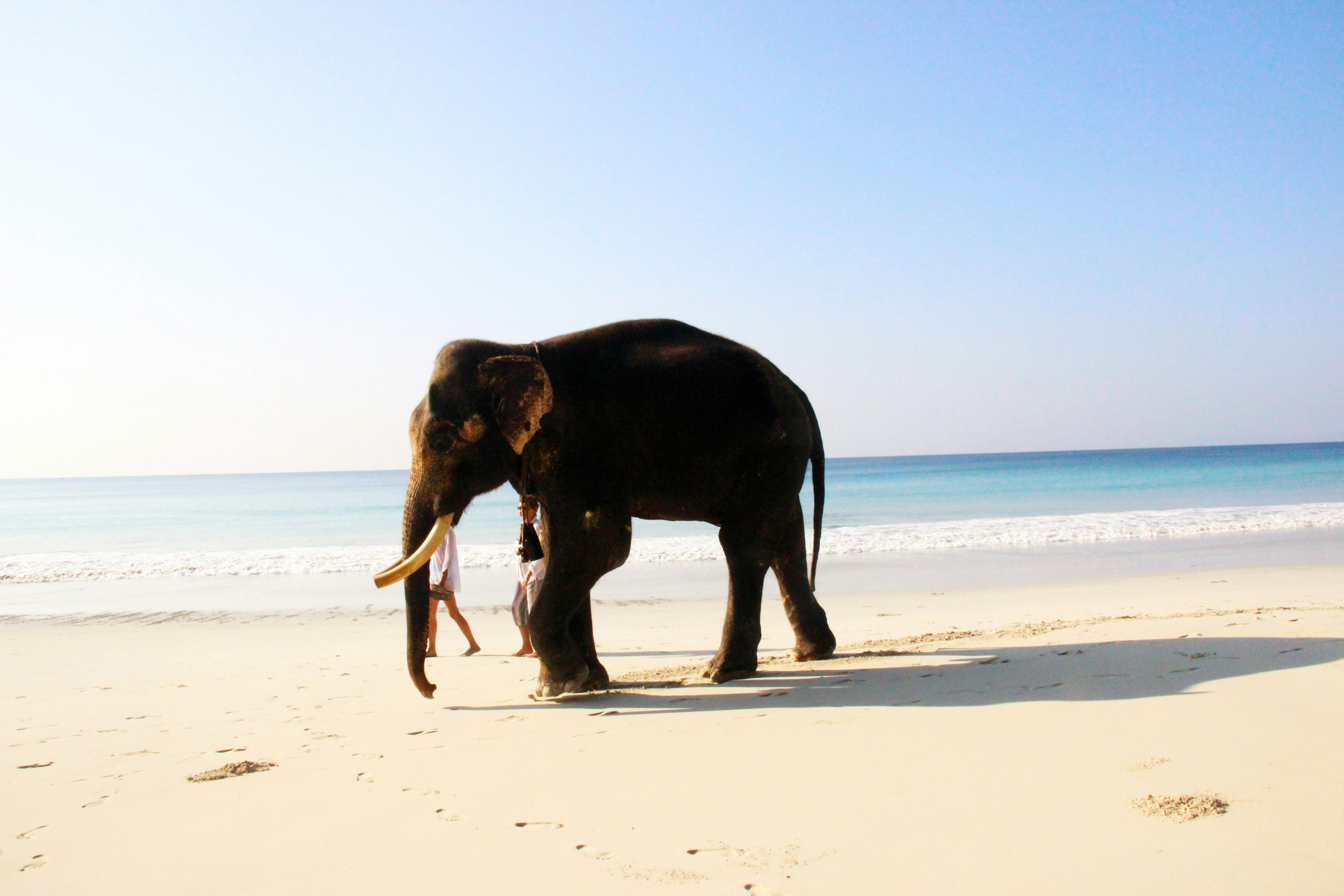 travel_Tour_Pakages_Slider/amit-jain-2U3nGPt4cEg-unsplash_d7XQEIB.jpg